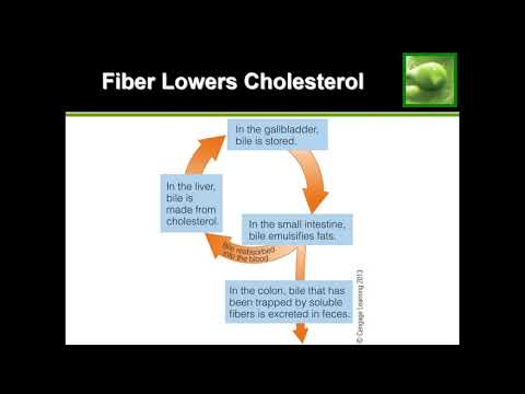Fiber and Heart Disease (Lowering Cholesterol)