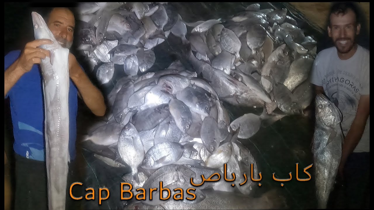 Peche Cap Barbas Dakhla - اليوم الاخير من رحلة الصيد بكاب بارباص