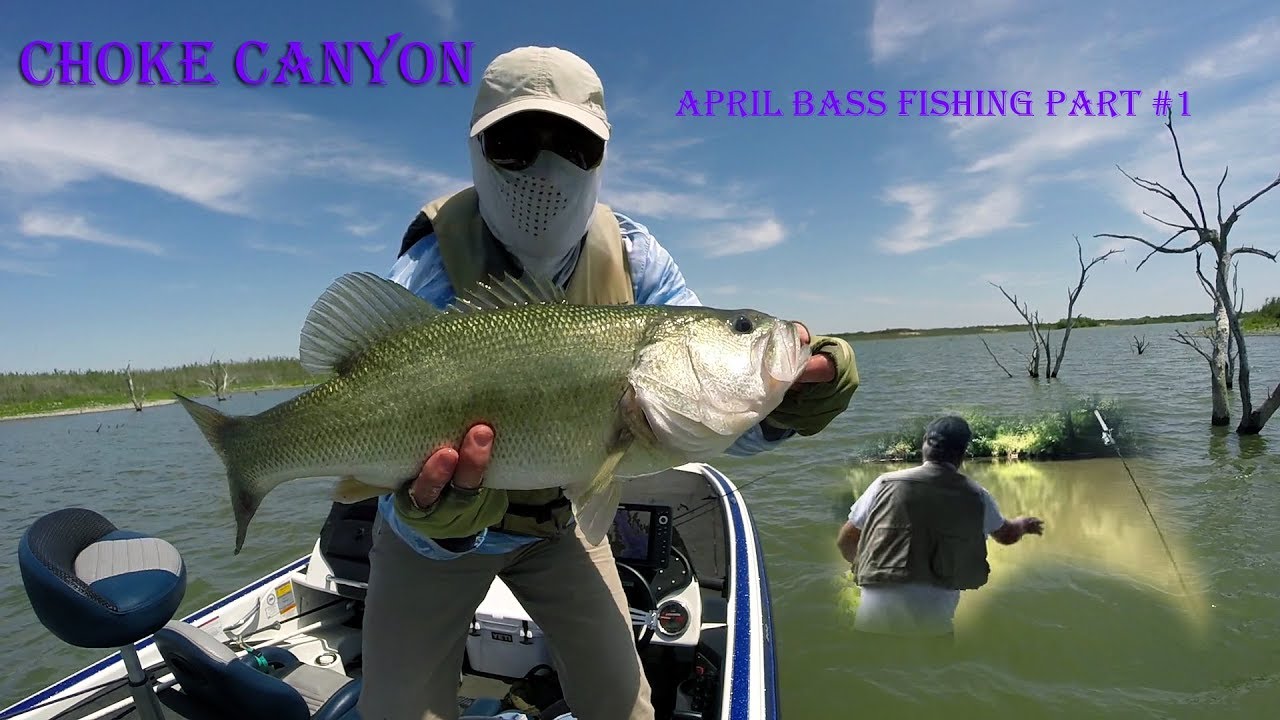 ALMOST LOST A ROD Choke Canyon April Bass Fishing Day 1 YouTube almost-lost-a-rod-choke-canyon-april-bass-fishing-day-1-youtube