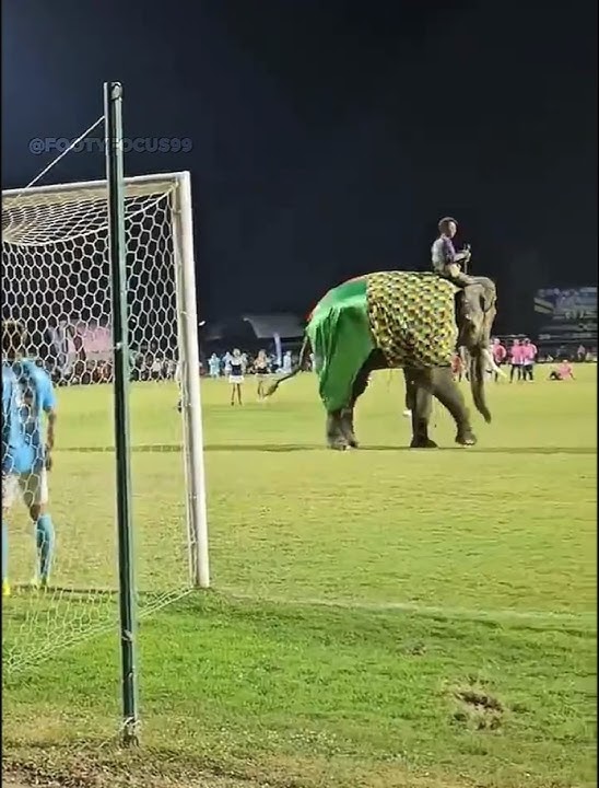Momen Aneh di Sepak Bola