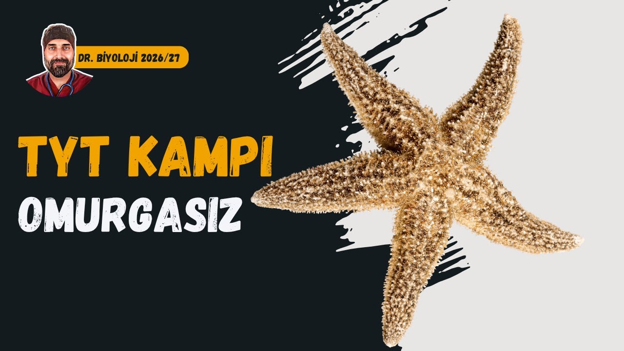 Omurgasızlar | Dr. Biyoloji | Dönem 2026 - 2027