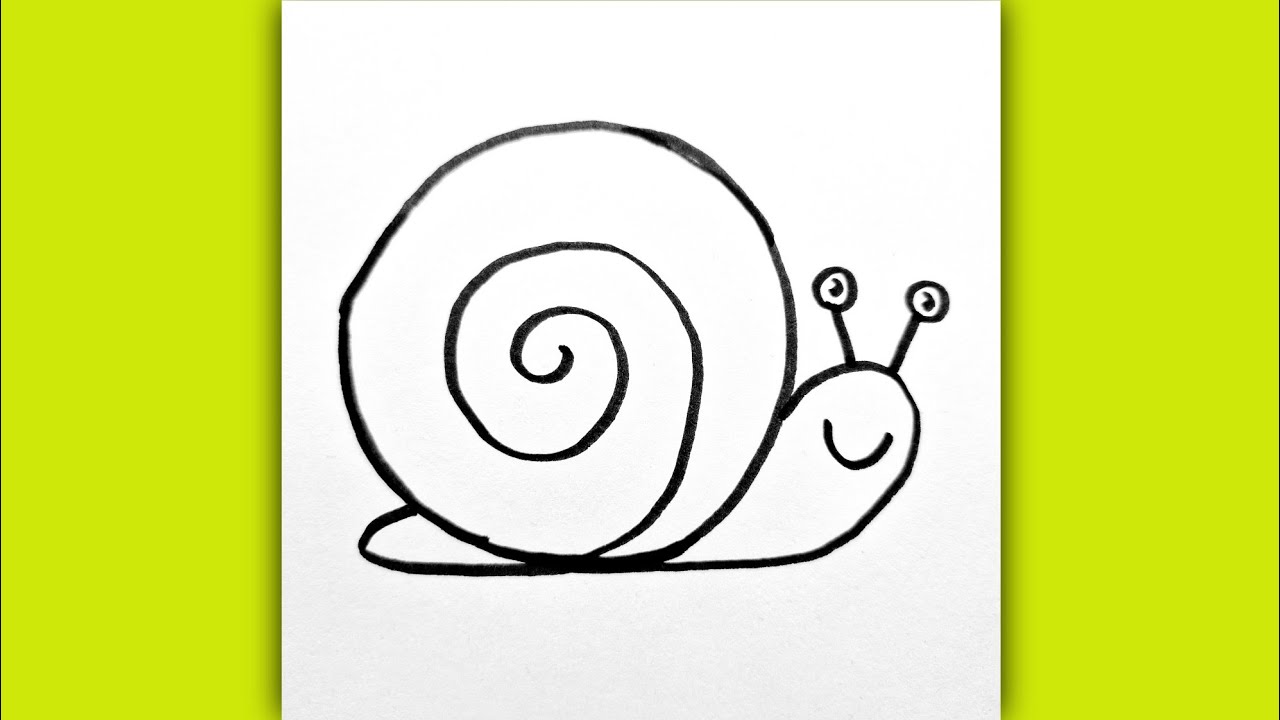 Super Easy Cute Snail Drawing for Kids