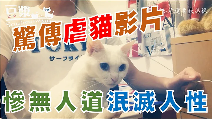 【豆浆 - SoybeanMilk】虐猫实录　惊传有人将虐猫影片上传 - 天天要闻