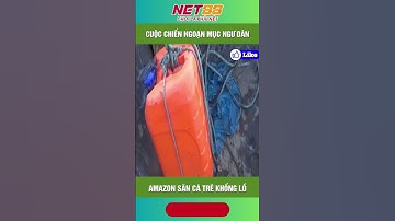 Cuộc chiến ngoạn mục của ngư dân Amazon săn cá trê khổng lồ #net88media