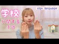 【学校の手話】小、中、高校、大学、1年生、1時間目、国語、算数、英語、理科、社会など色々覚えられる🏫《school sign language》