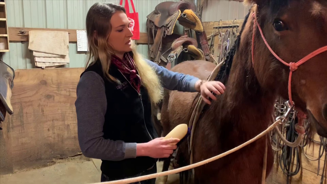 Manely Long Hair complete grooming system using Hydrate 24 YouTube