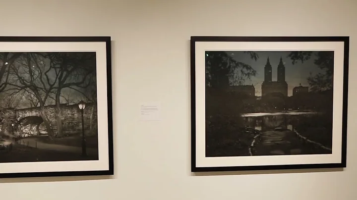 IMAGE AND THE PHOTOGRAPHIC ALLUSION