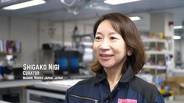 IODP Expedition 405 "JTRACK: Shigako Nigi - Curator"
