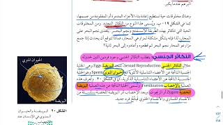 شرح درس انقسام الخلية وتكاثرها علوم ثالث متوسط الجزء الثاني