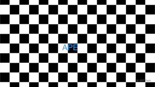 Static Checkerboard Horizontal X2 Viewing Paradigm 45 bpm