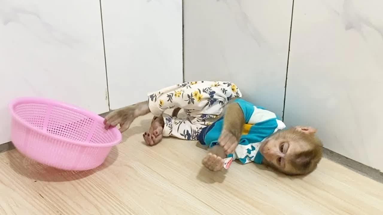 Lil DAM Stay In The Room Kick Basket Alike Ball During Wait Mom Comming