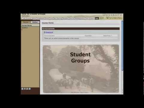 Creating Student Groups in Online Courses and eCompanions, 1 of 2
