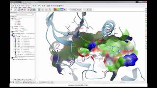 Webinar: Molecular Graphics, Movies, and Fully Interactive 3D Documents and Presentations screenshot 2