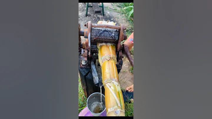 How To Make Sugar cane juice #shorts #shortsfeed #juice #sugarcane #juice #trending #viral #nice