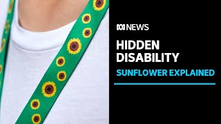This sunflower is popping up in public places across the world. What does it mean? | ABC News