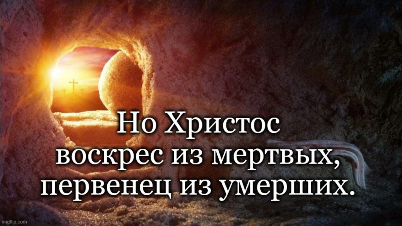 Фотографии мертвых людей 19 века. Post mortem викторианской эпохи. Мортем викторианской эпохи семья. Post mortem викторианской эпохи. Первенец из мертвых.