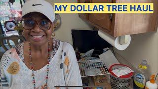Shopping and saving money at Dollar Tree