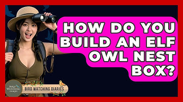 How Do You Build An Elf Owl Nest Box? - Bird Watching Diaries