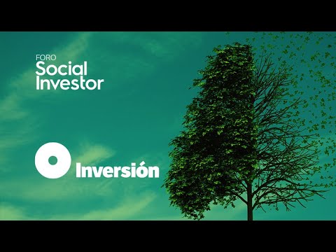 Promesas verdes vacías y cómo acabar con ellas | Foro Social Investor