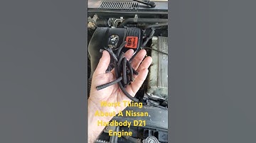 Worst Thing About the Nissan D21 Hardbody Engine