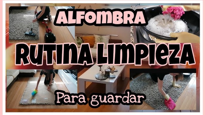 ▷ Limpia alfombras: Trucos y consejos - HomeCenter Blog