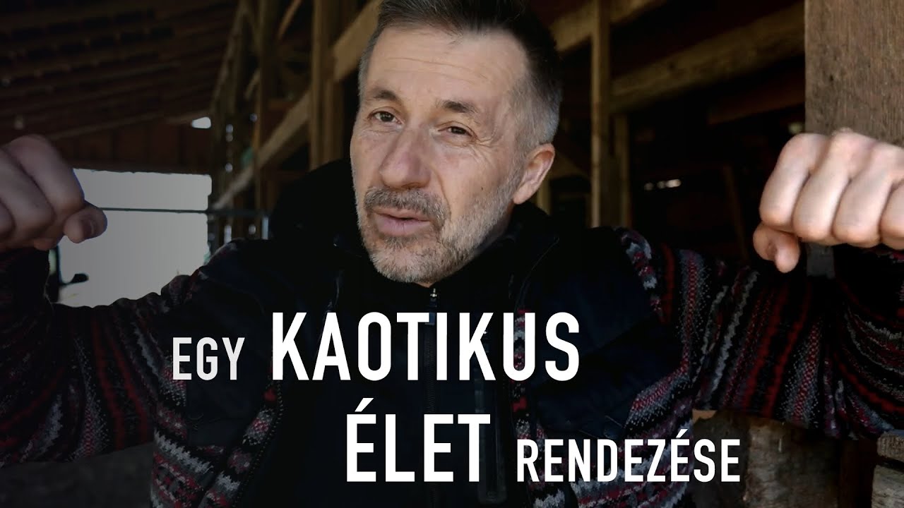 Rend vs. rendszer: Hogyan befolyásolják az életünket a körülmények? VLOG-S3E8