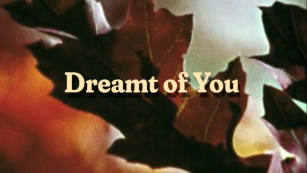 I am Oak - Dreamt of You (Official Video)