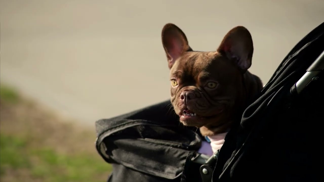 Vivitar Series 1 70-210mm F3.5 and Panasonic S5ii  Riverwalk Park Bakersfield CA