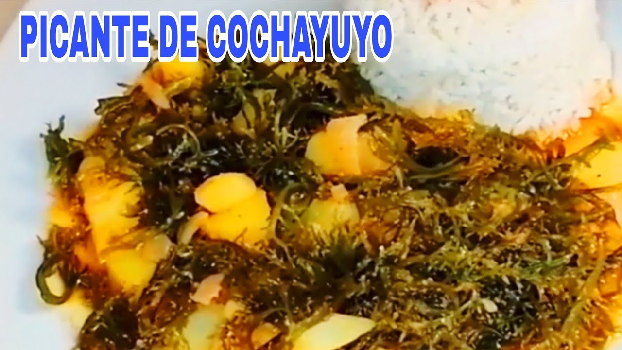 ‼️PICANTE DE COCHAYUYO (Algas Marinas) RECETA PERUANA @ Cocinando con Maricielo