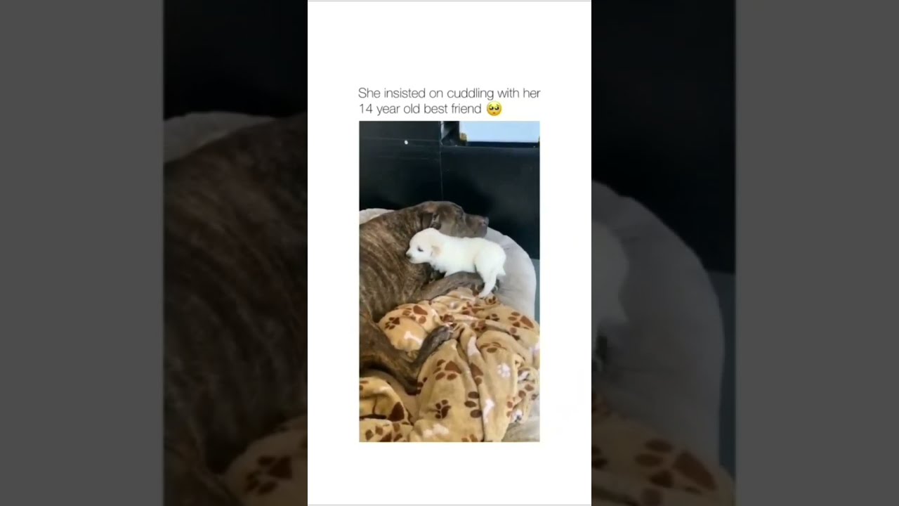 Cutest cuddle 🥺😘 