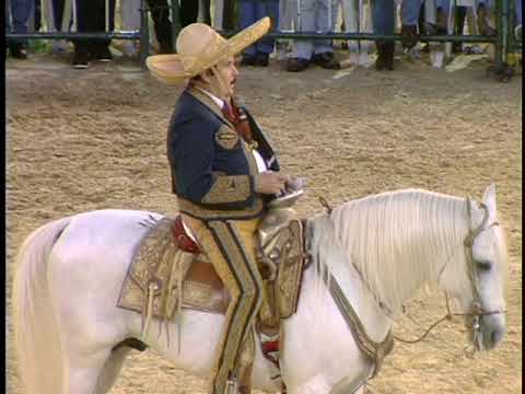 Antonio Aguilar   El Patas Blancas En Vivo