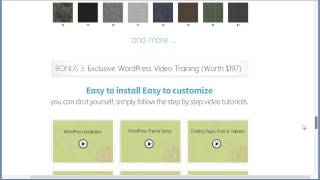 InkThemes Business Theme Offer