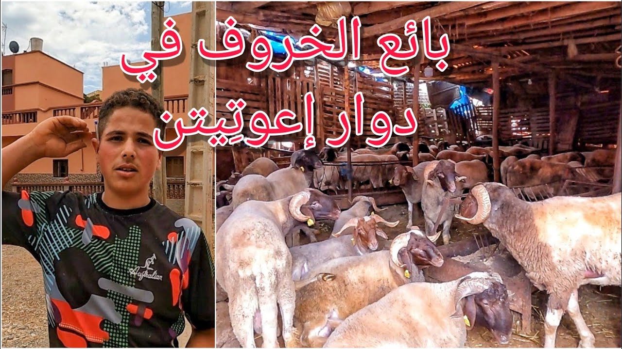 إستكشاف والتعرف على مداشر إقليم الناظور/ بلاد قرعيين قلعية