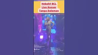 #heboh ..!!BCL Live tanpa Daleman