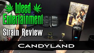 Candyland - Sativa - by Top Shelf Cultivation - Strain Review - from Cannabis Cafe, Hollywood, Ca