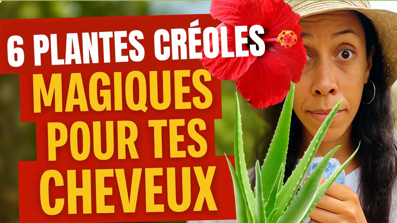 Comment Avoir des Cheveux Forts et Brillants Grâce aux Plantes Créoles!
