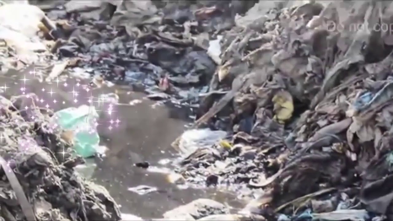 BINOD !  ORIGIN OF BINOD