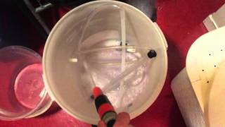 Homebrew Beer Bottling A-Z Guide