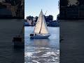 ☀️Calm waters on the SF Bay⛵️#sailboat #sfbayarea #vallejo #sanfrancisco #shorts