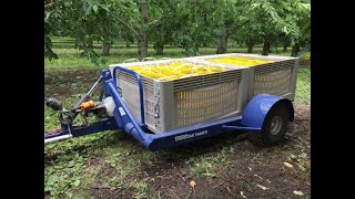 ATV Bin Trailer in Action