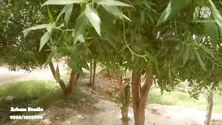 Dil Kash Khubsorat Manzir