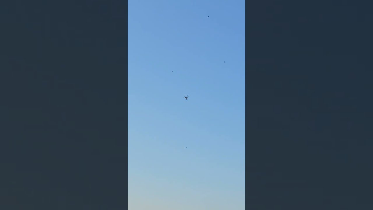 Dron dji mini 3 pro volando con las aves @djimini3pro @short 