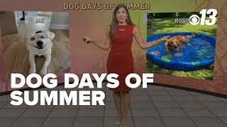 What is the Dog Days of Summer?  Sharon Ray explains.