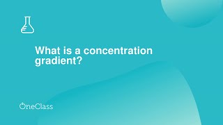 Celebrity What is a concentration gradient? Profile