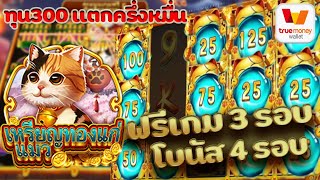 superslot : ซุปเปอร์สล็อต เกมสล็อต Coin Cat  เหรียญทองแก่แมว รีวิวครั้งแรก ทุน 300 แตกมาครึ่งหมื่น!!