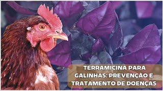 TERRAMICINA: A importância da HOMEOPATIA na criação de galinhas l Websérie CGL