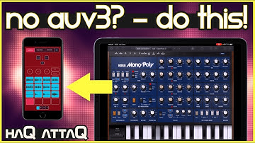KOALA Sampler | Sampling IAA apps without MIDI controller | for beginners | haQ attaQ