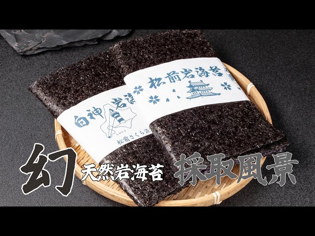 天然岩海苔採取風景 - YouTube