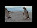 Farce of the penguins - Juan Sanchez & Global Warming