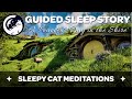 A Peaceful Day in The Shire - Guided Sleep Story Inspired by The Lord of the Rings